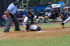 Enlarge photo 442