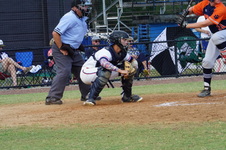 Enlarge photo 590
