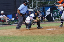 Enlarge photo 591