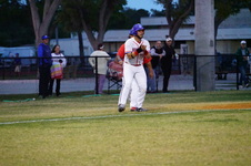 Enlarge photo 240