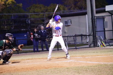 Enlarge photo 459