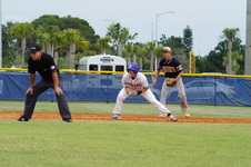 Enlarge photo 236