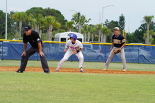 Enlarge photo 238