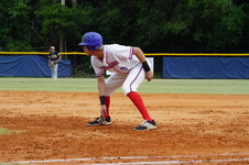 Enlarge photo 251