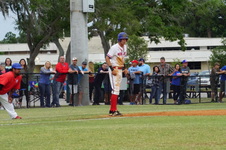 Enlarge photo 290
