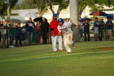 Enlarge photo 417