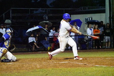 Enlarge photo 599