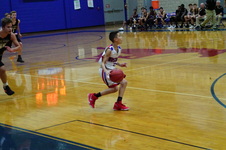 Enlarge photo 239