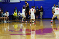 Enlarge photo 229