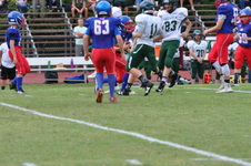 Enlarge photo 15