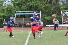 Enlarge photo 29
