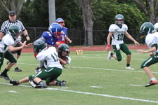 Enlarge photo 37