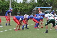 Enlarge photo 45