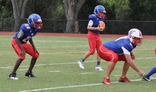 Enlarge photo 46