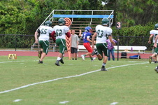 Enlarge photo 56