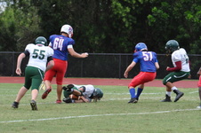 Enlarge photo 69