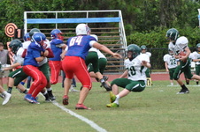Enlarge photo 74