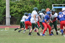Enlarge photo 78