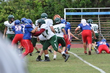 Enlarge photo 80