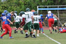 Enlarge photo 81