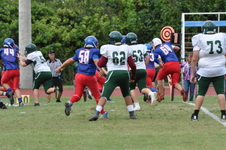 Enlarge photo 84