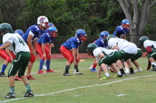 Enlarge photo 93