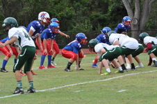 Enlarge photo 95