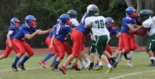 Enlarge photo 97
