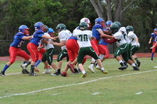 Enlarge photo 98