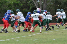 Enlarge photo 99