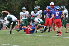 Enlarge photo 108