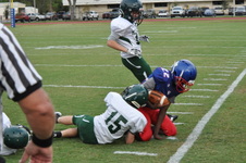 Enlarge photo 126