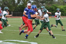 Enlarge photo 147