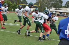 Enlarge photo 152