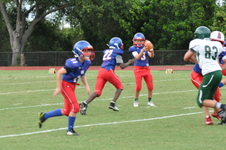 Enlarge photo 157