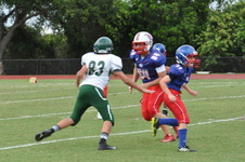 Enlarge photo 159