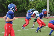 Enlarge photo 161
