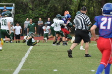 Enlarge photo 167