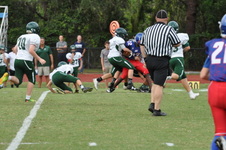 Enlarge photo 168