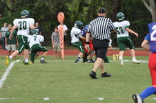 Enlarge photo 169