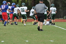 Enlarge photo 171