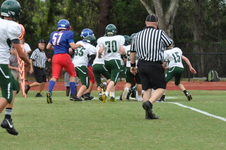 Enlarge photo 172