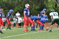 Enlarge photo 181