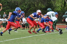 Enlarge photo 183