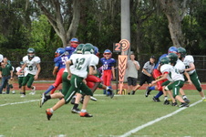 Enlarge photo 195