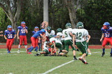 Enlarge photo 197