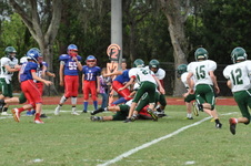 Enlarge photo 198