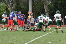 Enlarge photo 199