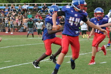 Enlarge photo 205