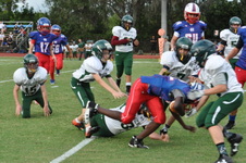 Enlarge photo 213
